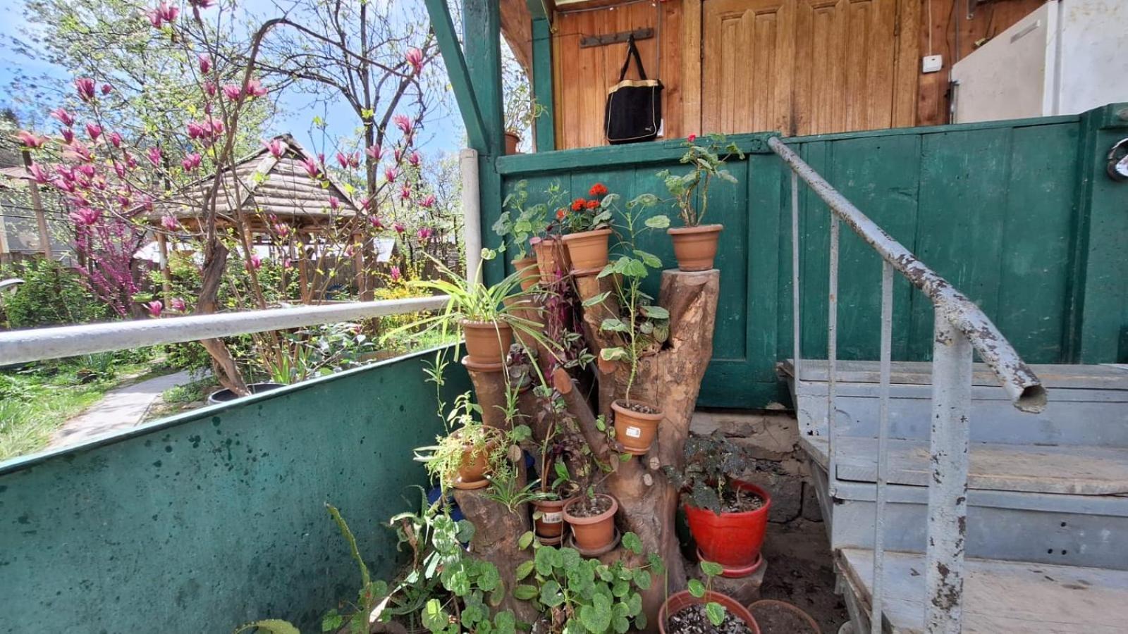 Guest House "Svaneti" Lentekhi Exterior foto