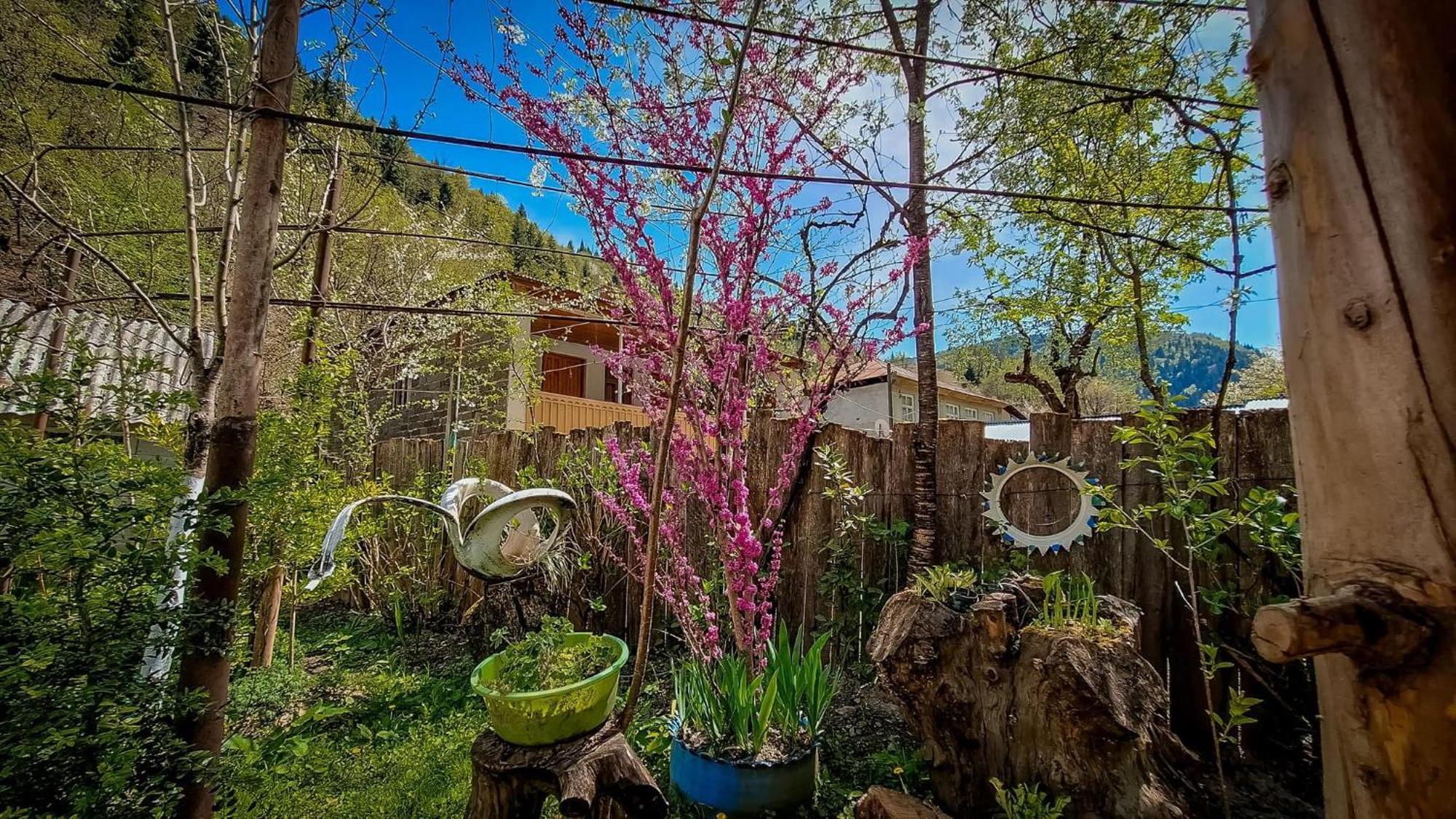 Guest House "Svaneti" Lentekhi Exterior foto